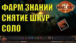 КАК ПОЛУЧИТЬ ЗНАНИЯ СНЯТИЕ ШКУР СОЛО Wow TWW