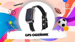 GPS-ОШЕЙНИК TURVER I ОБЗОР