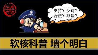 【小岛浪吹】软核翻墙指南，中国政府到底是希望人民翻墙，还是不希望，在国外的你需要翻墙回中国吗？