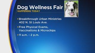 Dog Wellness Fair happening at Breakthrough Urban Ministries campus