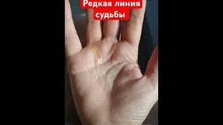 Линия судьбы #palmistry #магия #хиромантия