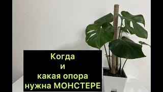 Когда и какая опора нужна МОНСТЕРЕ