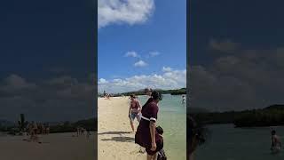 Mauritius...#mauritius #nature #ytshorts #shorts #youtubeshorts #scenicviews #beach