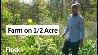 Tour 1/2 ACRE PERMACULTURE FARM with Edible Acres — Ep 013