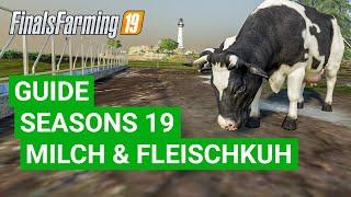 LS19 Seasons - Alles über Kühe (Ob ihr das schon wusstet?) [MOD: Seasons 19]