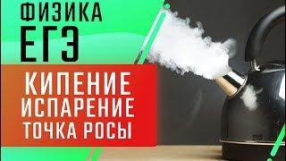 Кипение, испарение, точка росы| ЕГЭ Физика | Николай Ньютон | ТЕХНОСКУЛ