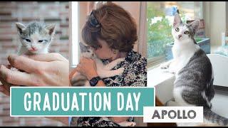 Graduation Day -- Apollo