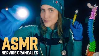 ASMR de NERVIOS CRANEALES como ningún otro: Completo, realista y relajante | ASMR español with Sasha