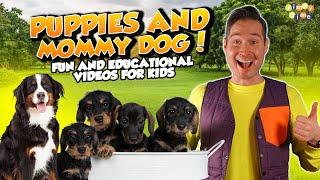 Puppies and Mommy Dog!  ‍Fun Educational Videos for Kids  @jimmydimetime #puppies