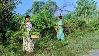 हमें बहुत दिन बाद मिला जंगली पुई साग | Forrest Jangli Saag | Its taste is a little different