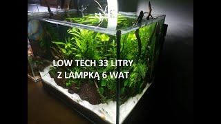 12.Akwarium roślinne low tech 30l, aktualizacja