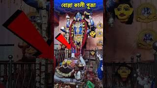 Bolla Kali Puja 2024 | বোল্লা কালী পূজা ২০২৪ | Bolla Kali Puja | Bolla Kali Mandir Balurghat #kali