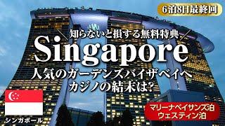 Singapore vlogPopular Gardens by the Bay｜Near Future SpotsMarina Bay Sands