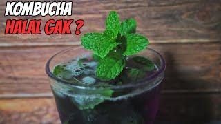 MINUMAN KEKINIAN SEHAT DAN NIKMAT   Kombucha Telang - Tinggi Antioksidan & Halal