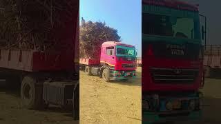 SHEENAM KATHOLIC PRESENTS   “ PISTOL BOLE KI ” NEW HARYANVI  ️SONG IN THE