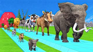 Paint & Animals Duck,Gorilla,Lion,Elephant,Cow,Sheep Fountain Crossing Transformation Animal Cartoon