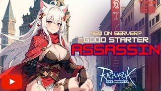 Assassin from 0 to Endgame (New server Walkthrough) - Ragnarok Pre-Renewal