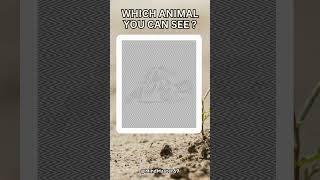 Which Animal You Can See  ? Test your eyes  #riddles #test #quiz #competition #iq #shorts #puzzle