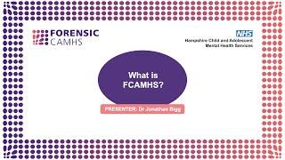 Forensic CAMHS - What is Forensic CAMHS?