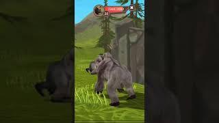 of gorilla 