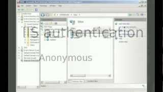 IIS anonymous authentication configuration example