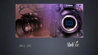 In the Field: Exploring the Canon C300 Mark III