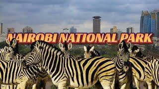 SAFARI DRIVE THRU- THE ONLY CITY GAME PARK IN THE WORLD ||NAIROBI NATIONAL PARK- KENYA 