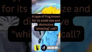 Amazing Animal Facts Unveiled Mammal Bird Reptile Fish Amphibian Discover unknow | Like & Subscribe