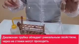 8кл диализная трубка мономеры полимеры