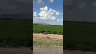 Luna county crops: Hay #newmexico #lunacounty #deming #chihuahuandesert #hay #bale #field