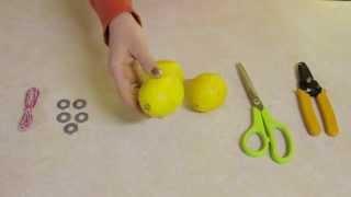 Lemon Battery Homeschool Science Experiment