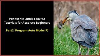 Panasonic Lumix FZ80/82 For Absolute Beginners Part 2:  Program auto  mode