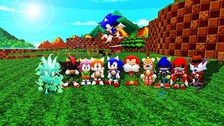 Everyone Is Here! (Or Almost) - Sonic Robo Blast 2 2.2.9