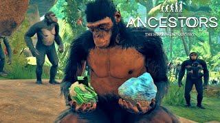 Ancestors The Humankind Odyssey: Как точить камни