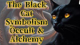 The Black Cat - Symbolism in Alchemy and the Occult