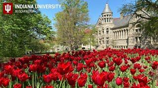 Indiana University Bloomington, USA