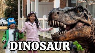 DINO MANIA  | A NEW SERIES | SEHRISH & LUQMAN FAMILY!