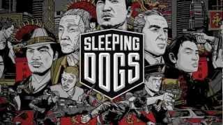 Sleeping Dogs,НЕБОЛЬШОЙ ВИДЕО-ФОТО КЛИП! (часть 2)