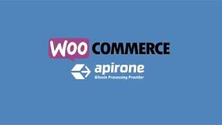 WordPress WooCommerce Bitcoin and Altcoins Plugin (tutorial of work)