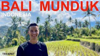 Indonesia - Bali - Munduk  | Travel guide