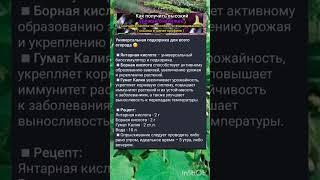 универсальная подкормка для огорода