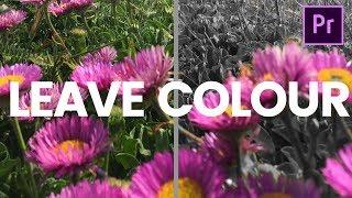 Isolating Color/Black & White Colour Selection // Leave Color Premiere Pro 2019 Tutorial