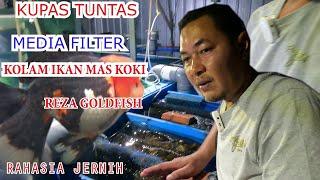 Filter kolam koki jernih   sistem filterasi dan media filter Reza goldfish farm