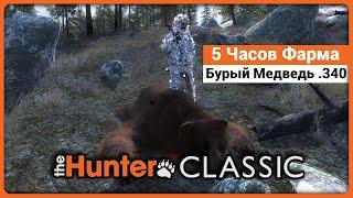 5 Часов фарма на Бурых медведях с .340 в theHunter Classic