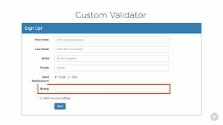 20 Angular 2 Fundamentals Custom Validators