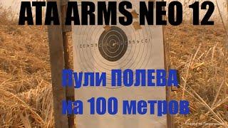 Пули Полева на 100 метров. ATA ARMS NEO 12.