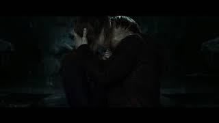 Ron and Hermione Kiss Scene (ALTERNATE VERSION)