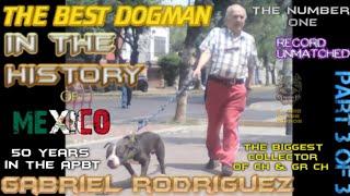 GABRIEL RODRIGUEZ ⭐The BEST DOGMAN in the HISTORY of MEXICO   American Pit Bull Terrier Legends 3