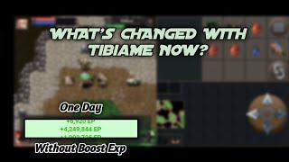 TibiaME: Daily Quest 7 Island