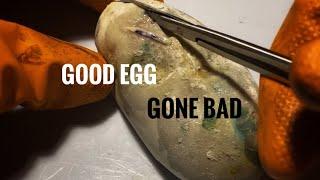 Good Egg Gone Bad